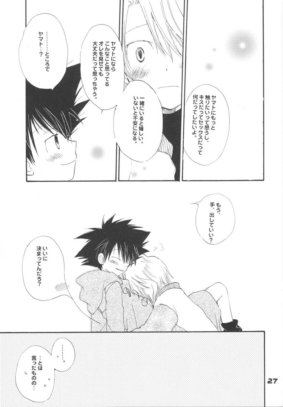 [PIKAPIKA (Takahashi Mako)] Swan no Namida (Digimon Adventure 02) - Page 28