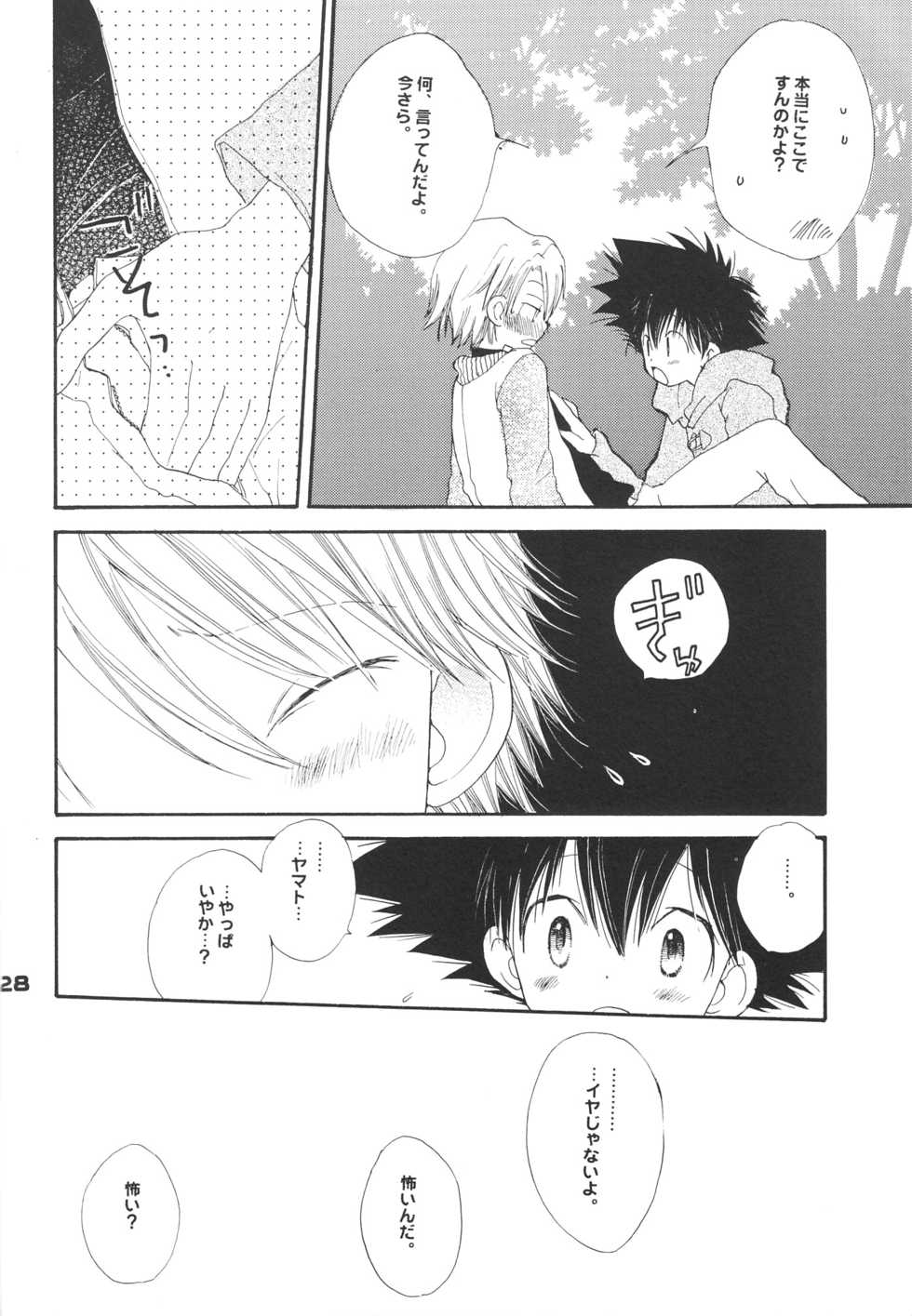 [PIKAPIKA (Takahashi Mako)] Swan no Namida (Digimon Adventure 02) - Page 29