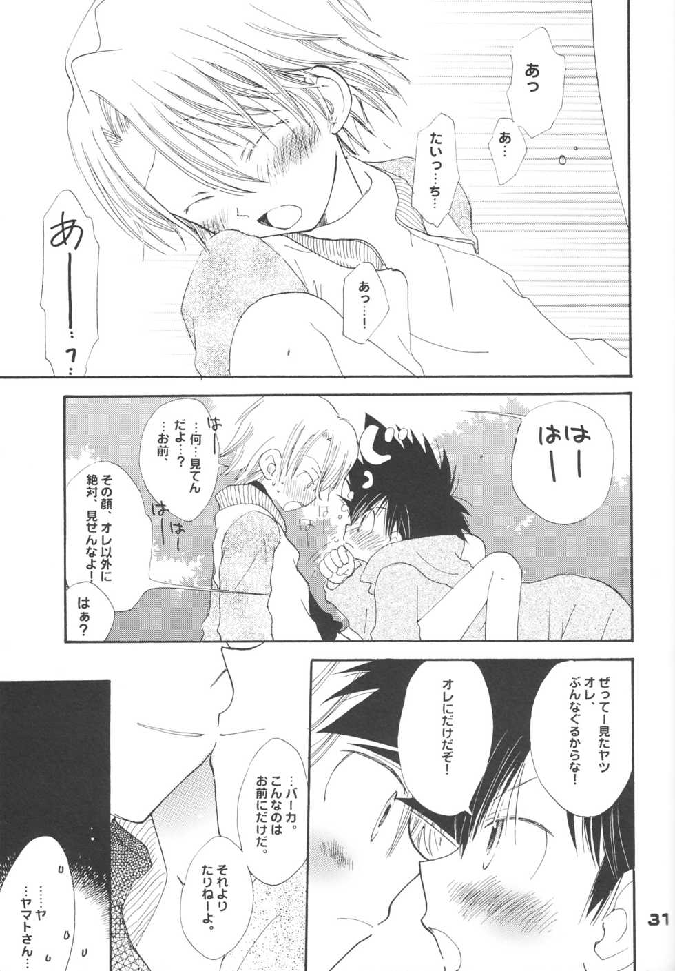 [PIKAPIKA (Takahashi Mako)] Swan no Namida (Digimon Adventure 02) - Page 32