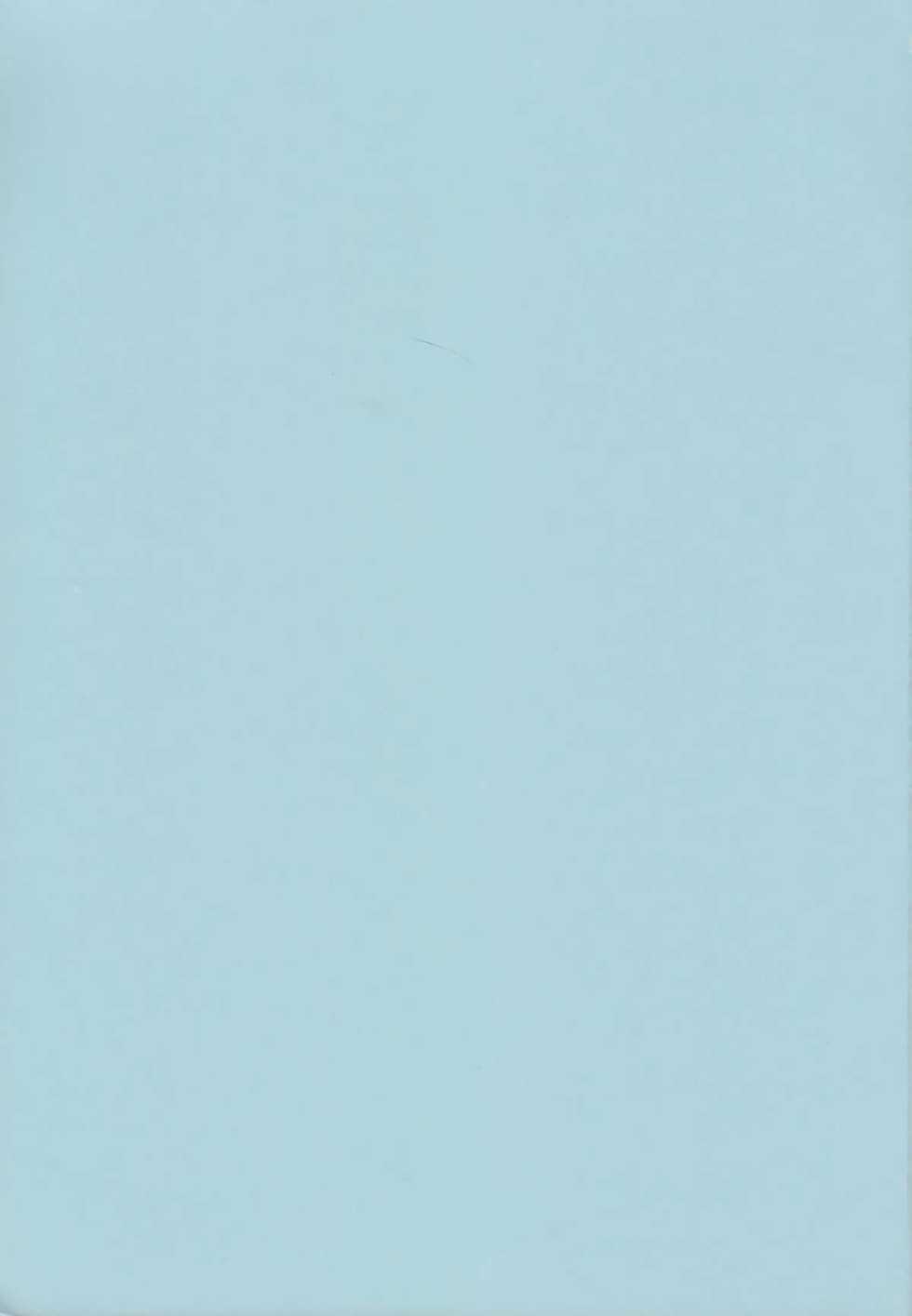 (C58) [RYU-SEKI-DOU (Nagare Hyougo)] ParoLaub (Kizuato, Magical Antique) - Page 2