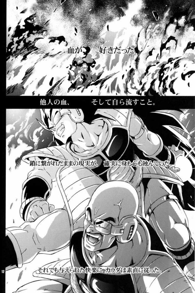 (C75) [Dokugunryu (Norazi, Komakawa Rimi)] Kemono-tachi wa Furusato o Mezasu (Dragon Ball Z) - Page 10