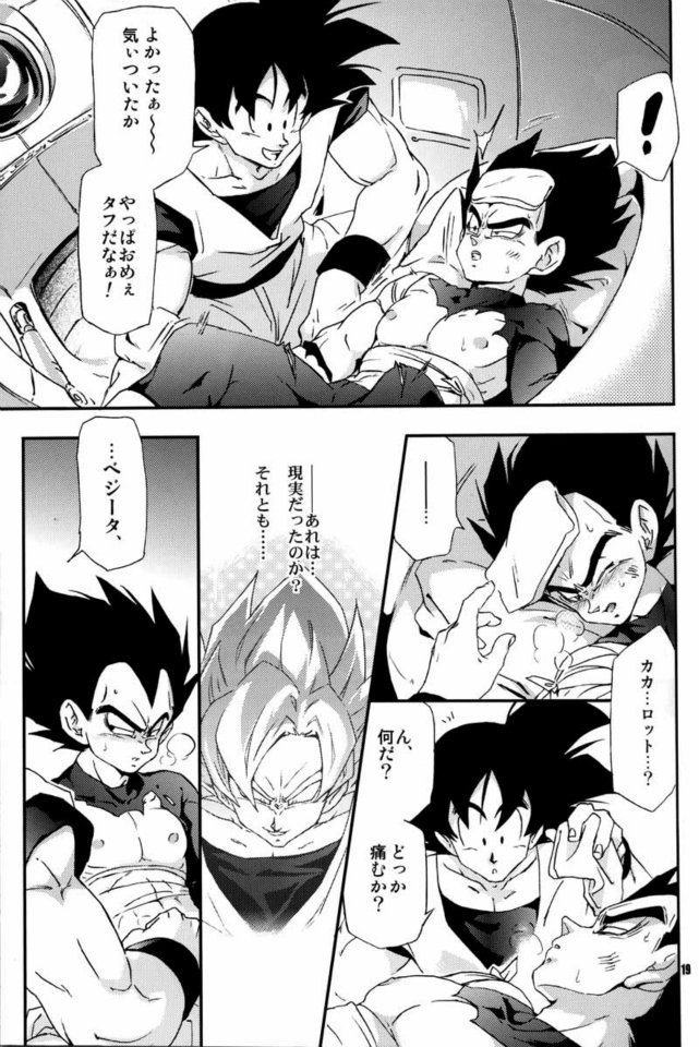 (C75) [Dokugunryu (Norazi, Komakawa Rimi)] Kemono-tachi wa Furusato o Mezasu (Dragon Ball Z) - Page 17