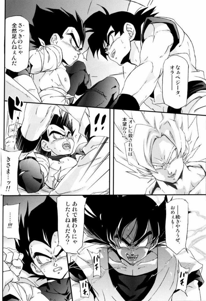 (C75) [Dokugunryu (Norazi, Komakawa Rimi)] Kemono-tachi wa Furusato o Mezasu (Dragon Ball Z) - Page 18