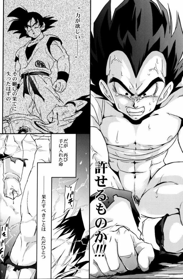 (C75) [Dokugunryu (Norazi, Komakawa Rimi)] Kemono-tachi wa Furusato o Mezasu (Dragon Ball Z) - Page 27