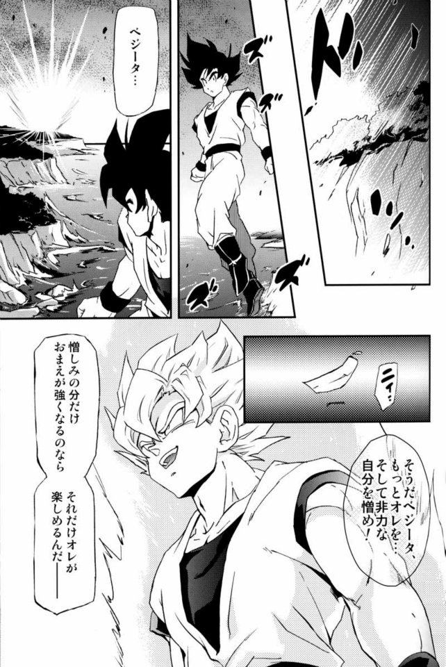(C75) [Dokugunryu (Norazi, Komakawa Rimi)] Kemono-tachi wa Furusato o Mezasu (Dragon Ball Z) - Page 29