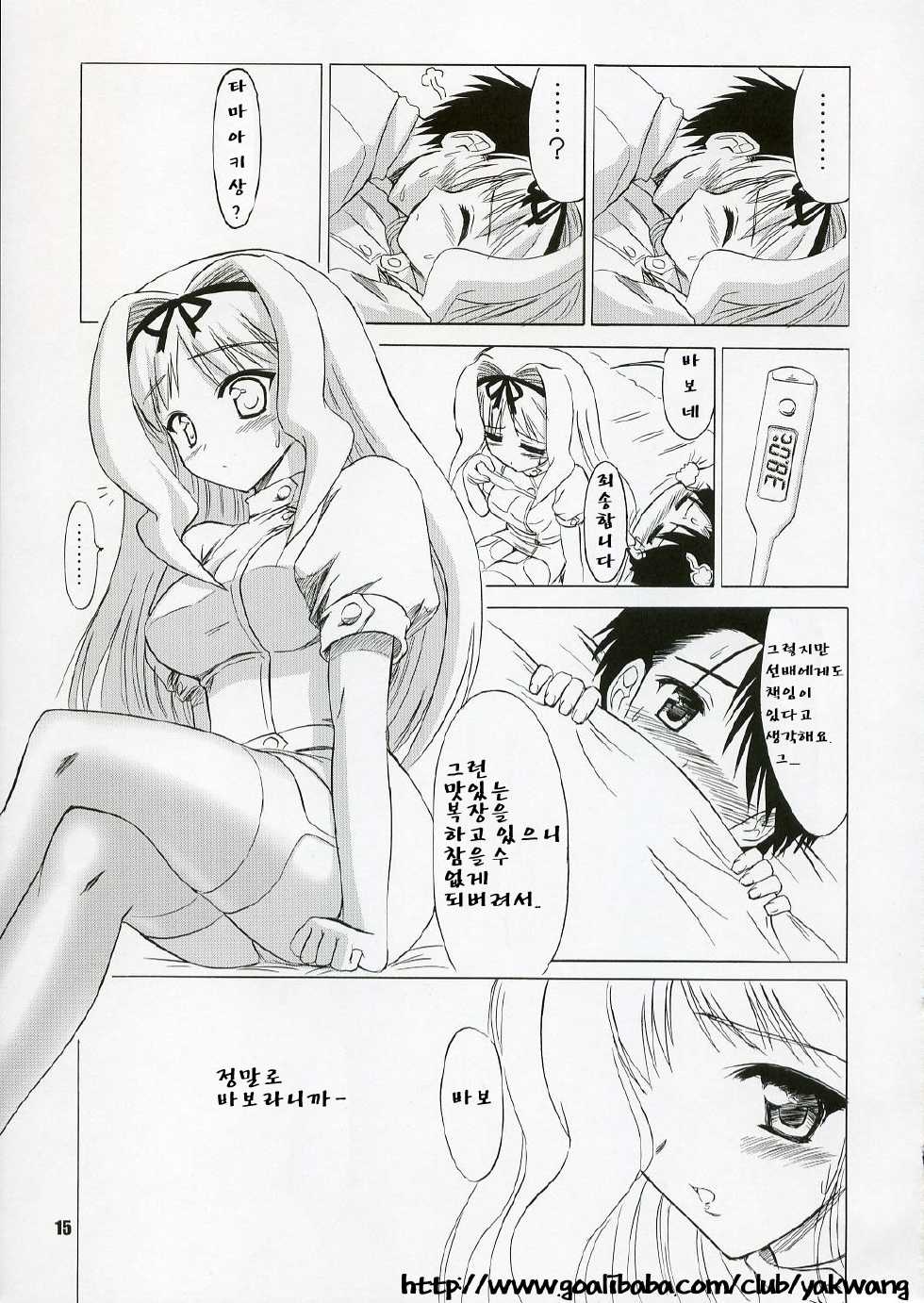 (C70) [Knights (Kishi Nisen)] SASARA Style (ToHeart 2) [Korean] - Page 14