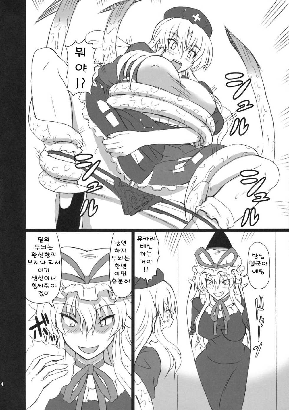 (C80) [takakuya (Takaku Toshihiko)] Extend Party 3 (Touhou Project) [Korean] - Page 3