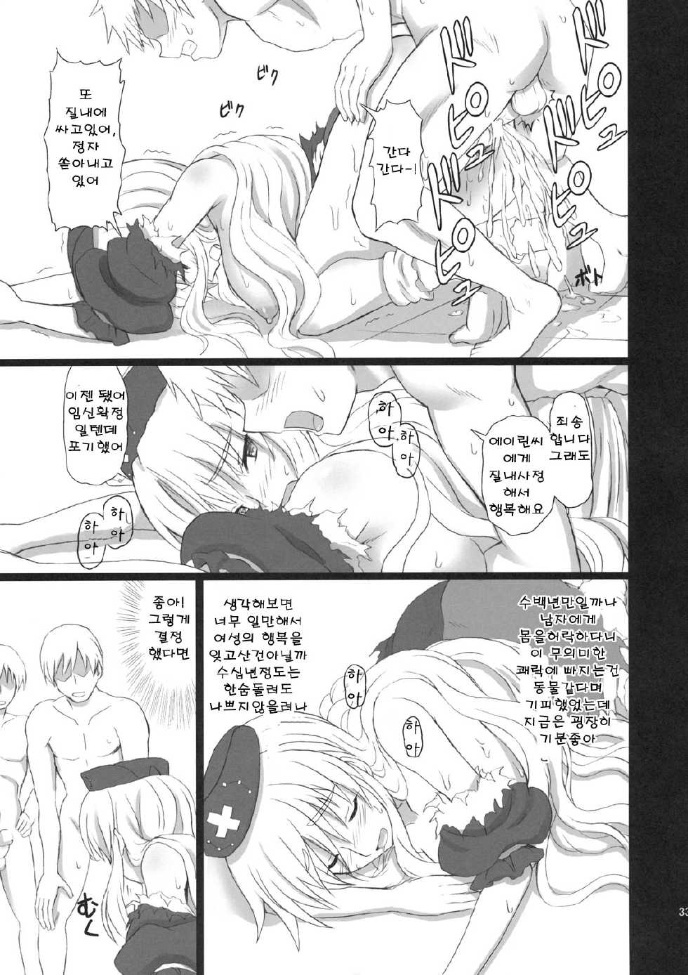 (C80) [takakuya (Takaku Toshihiko)] Extend Party 3 (Touhou Project) [Korean] - Page 32