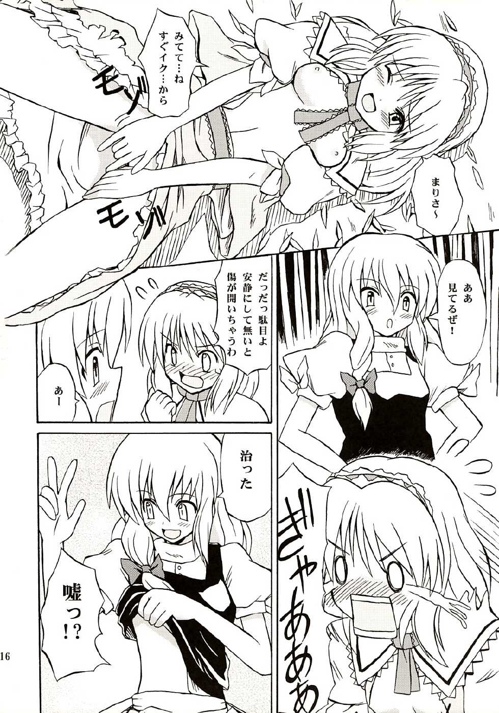 (C67) [Takaku-ya (Takaku Toshihiko)] Touhou Youjo Ranbu (Touhou Project) - Page 15