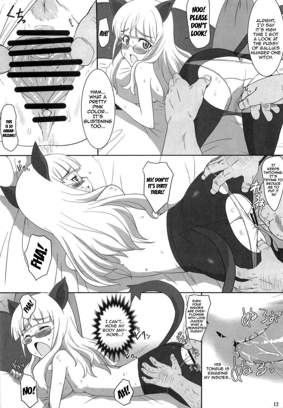 (C84) [Dashigara 100% (Minpei Ichigo)] Peri Inu (Strike Witches) [English] {doujin-moe.us} - Page 11