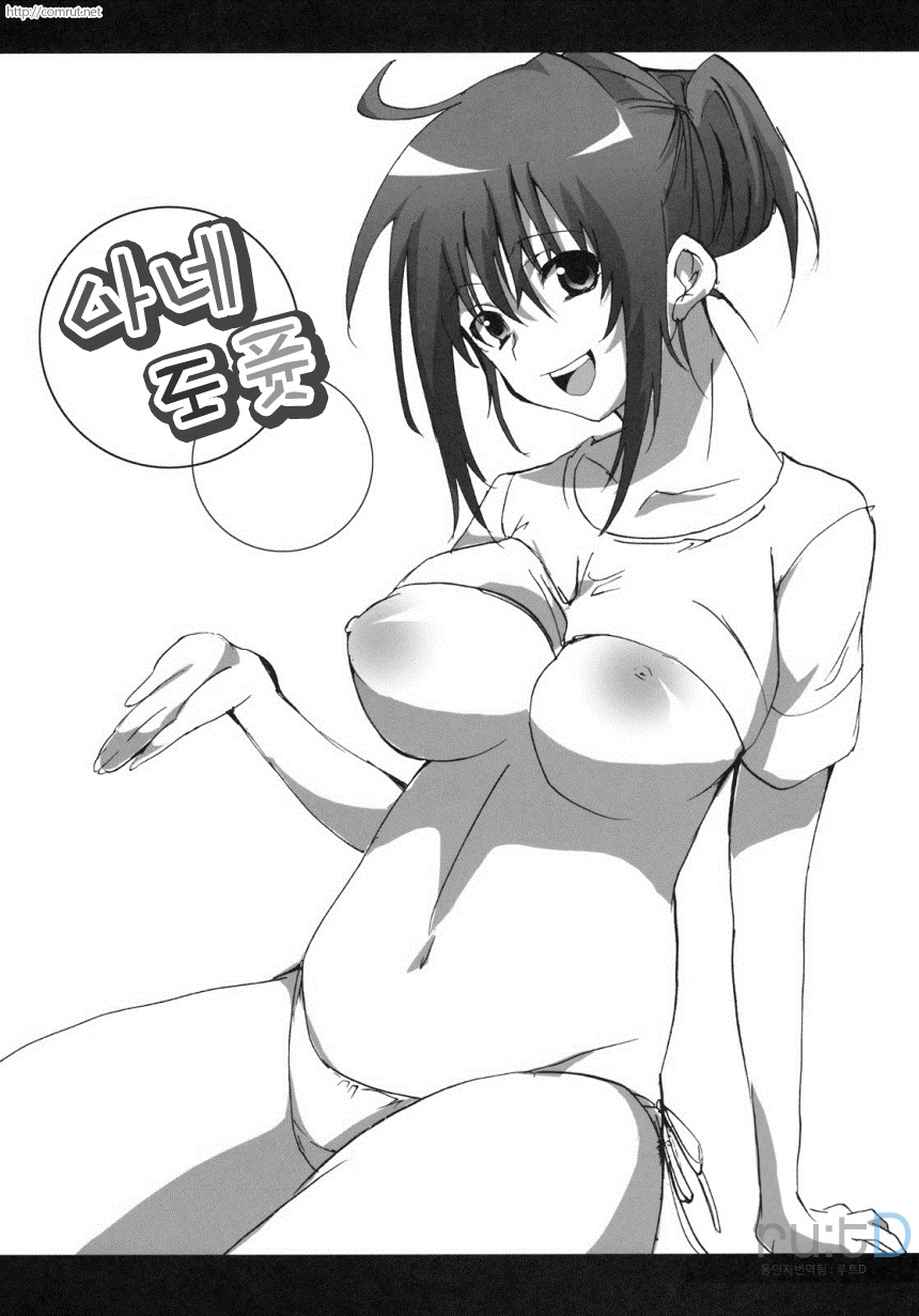 (SC45) [Pannacotta (Shouko)] Ane Dopyu | 아네도퓻 (Ane Doki) [Korean] [rutD] - Page 3
