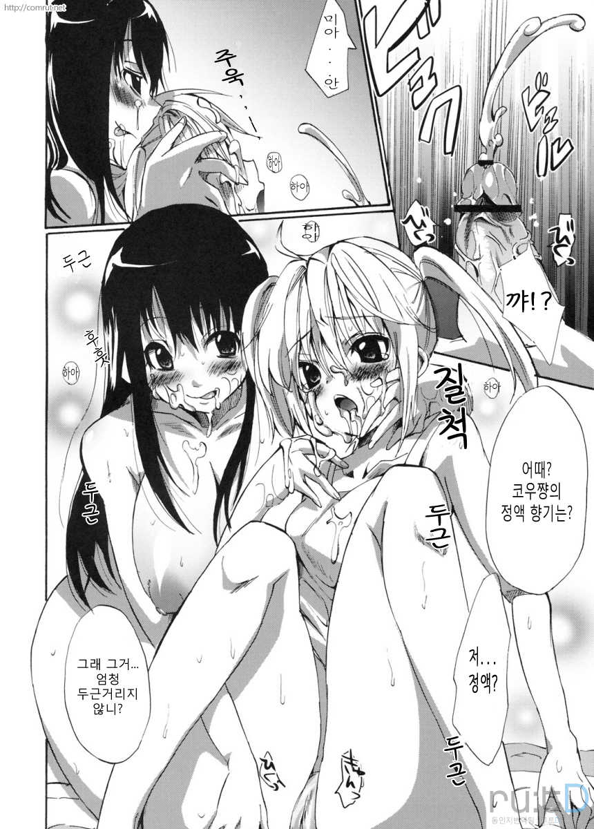 (SC45) [Pannacotta (Shouko)] Ane Dopyu | 아네도퓻 (Ane Doki) [Korean] [rutD] - Page 17