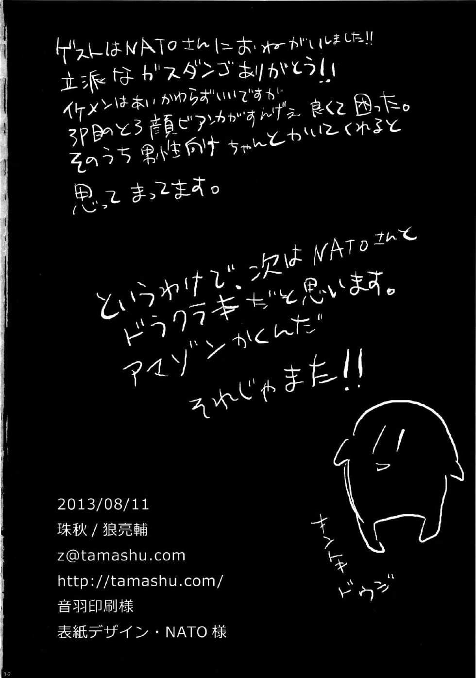 (C84) [Tamashu (Ohkami Ryosuke)] LOVEHERO.22 (Dragon Quest V) - Page 29