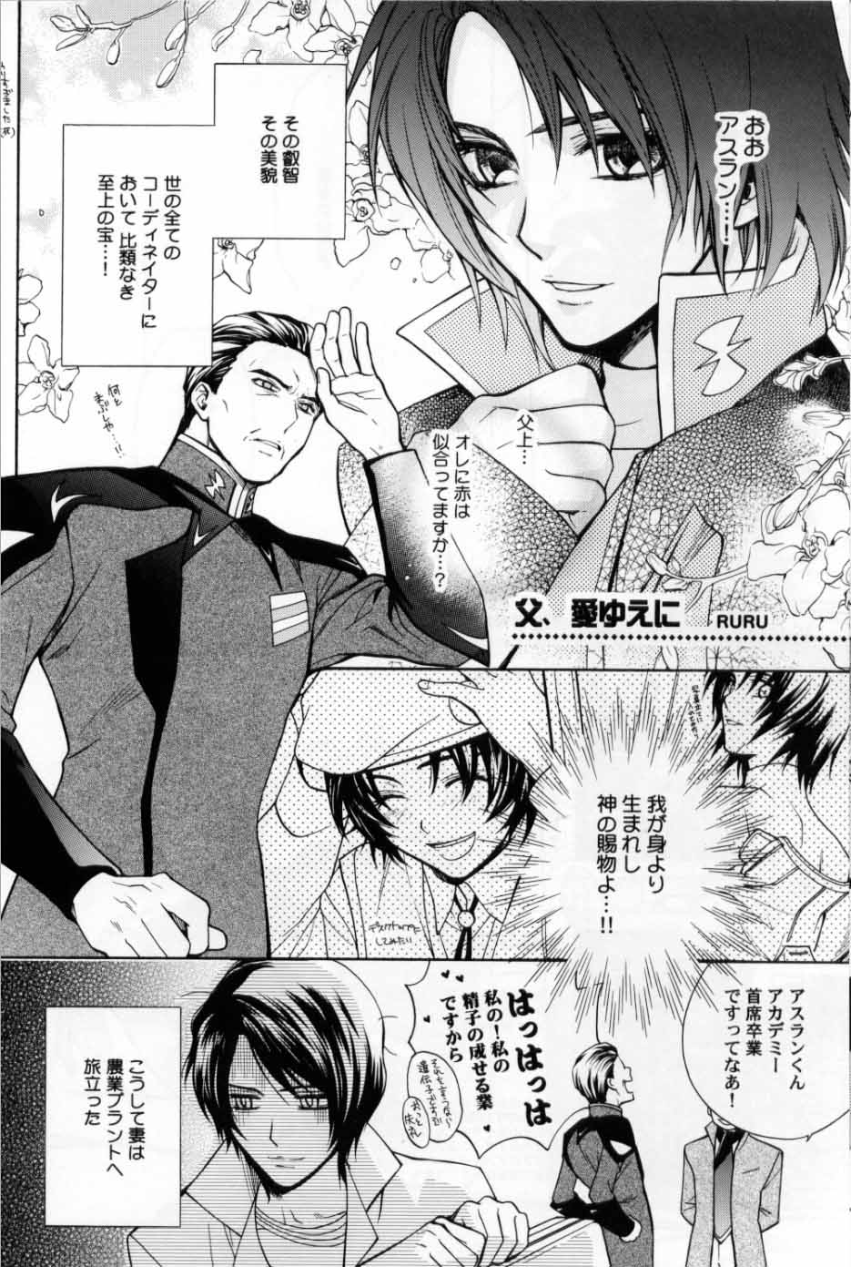(C70) [UltimatePowers (RURU)] OVER DOSER 4 (Gundam SEED, Gundam SEED DESTINY) - Page 17