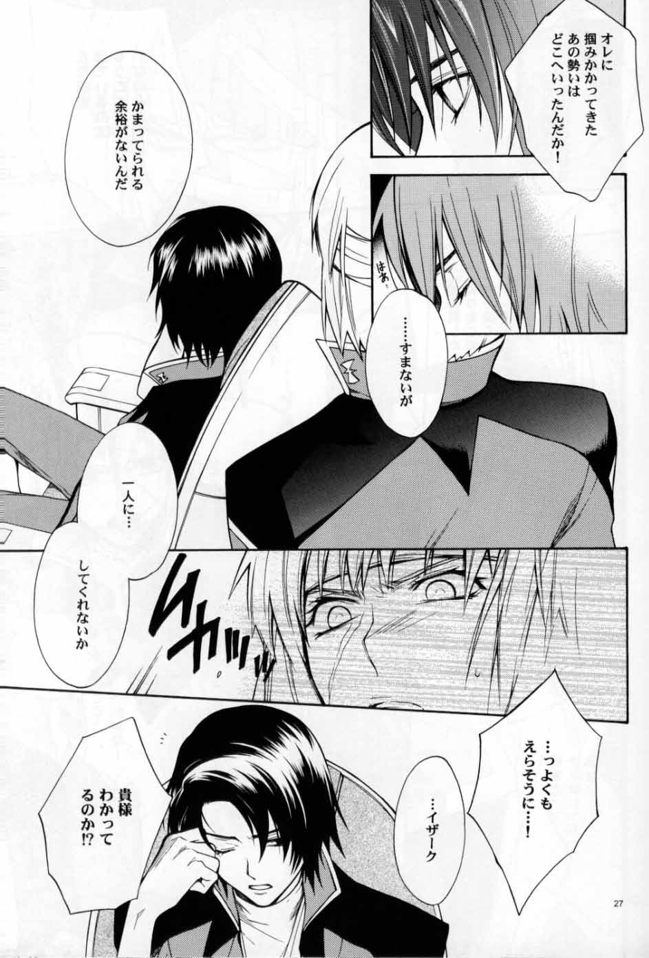 (C70) [UltimatePowers (RURU)] OVER DOSER 4 (Gundam SEED, Gundam SEED DESTINY) - Page 24