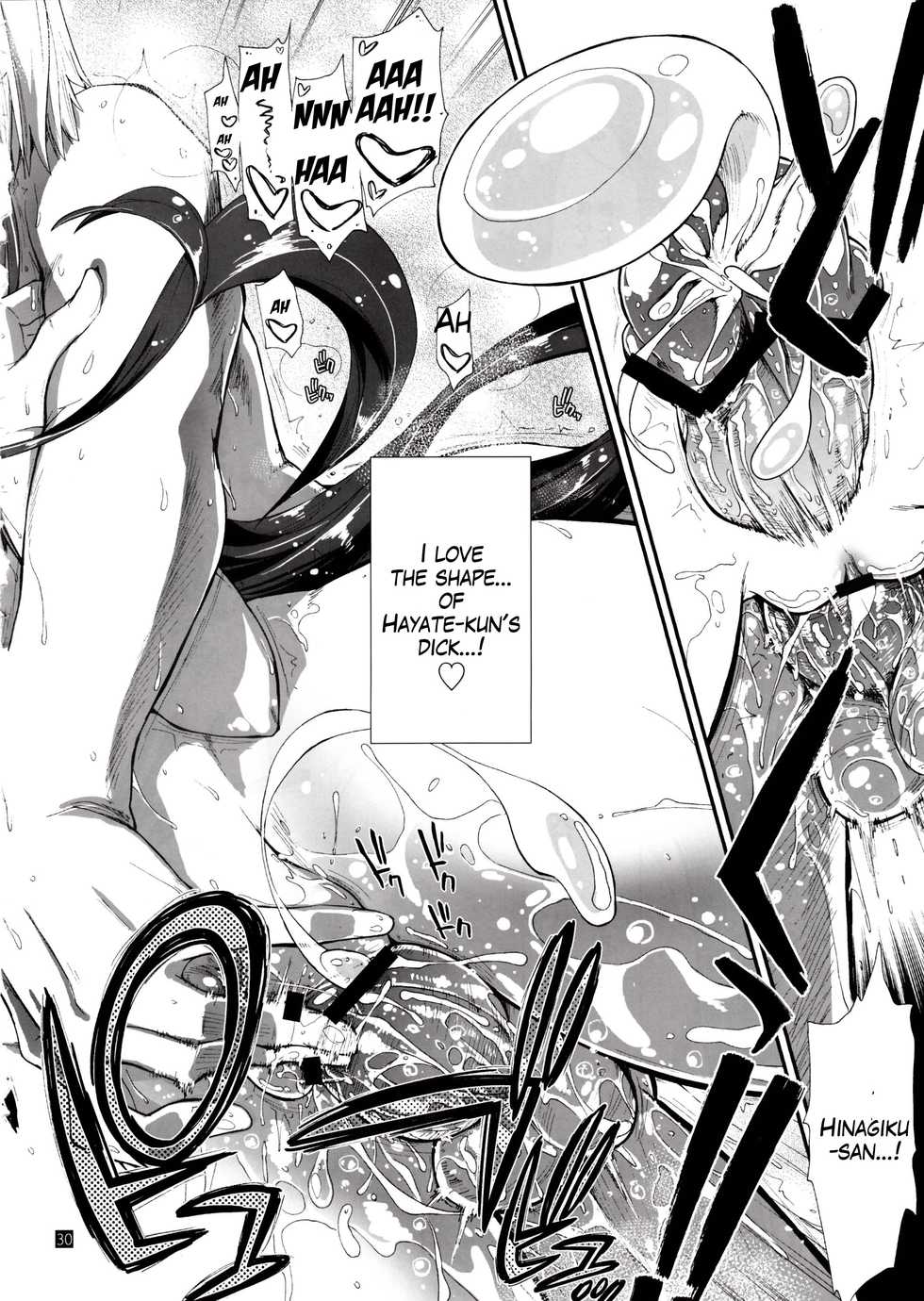 (SC59) [Girigiri Nijiiro (Kamino Ryu-ya)] Nan nano yo! (Hayate no Gotoku!) [English] [Sydin] - Page 29