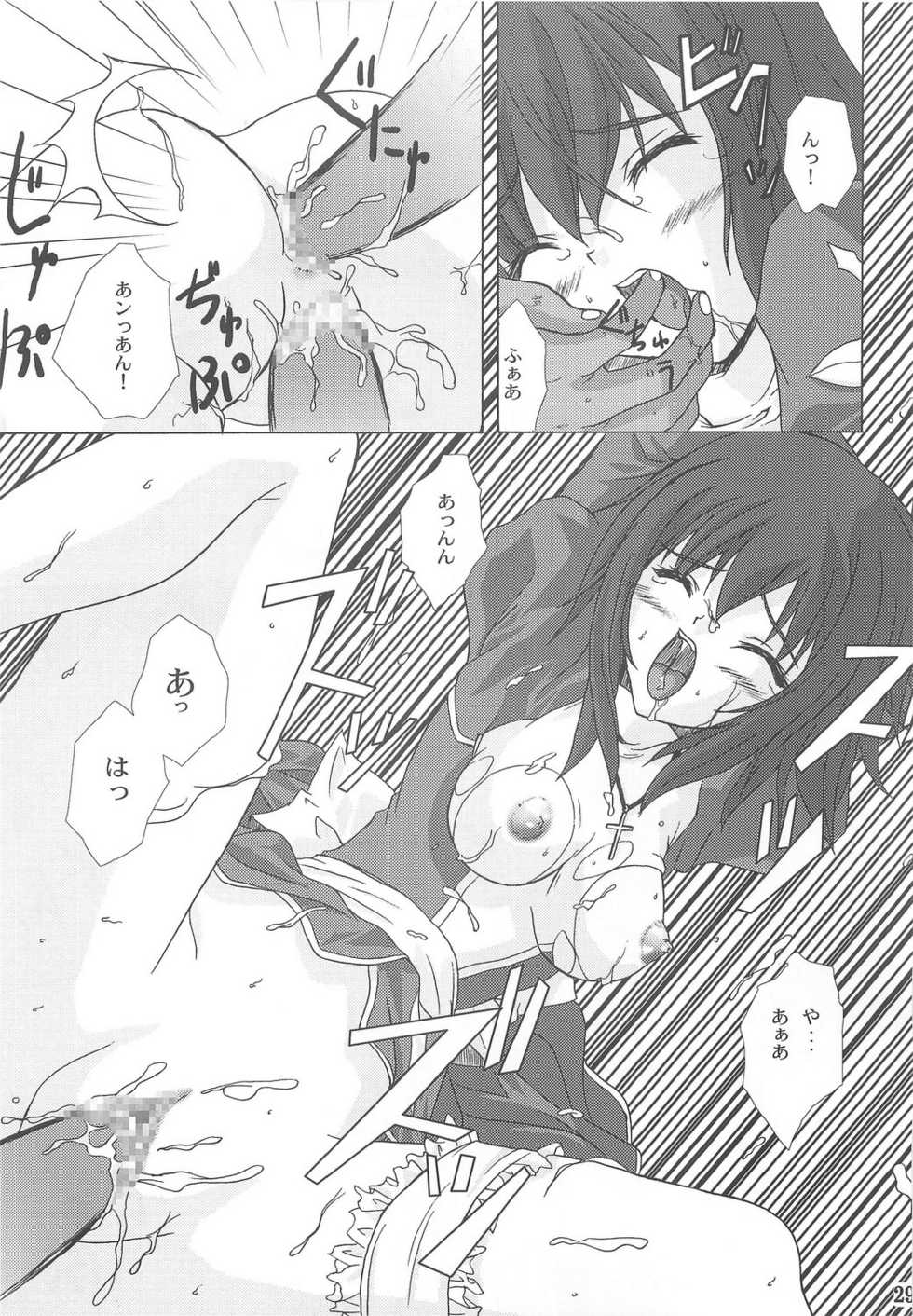 (C67) [Ark Emerald (Nanase Mizuho)] Cathedral (Ragnarok Online) - Page 27