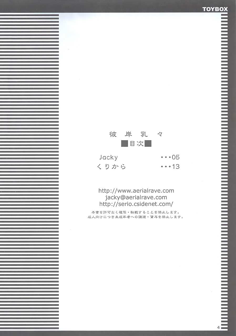 [Toybox (Jacky, Kurikara)] Higan-nyunyu (Touhou Project) [Spanish] [Ichi no Fansub] - Page 4