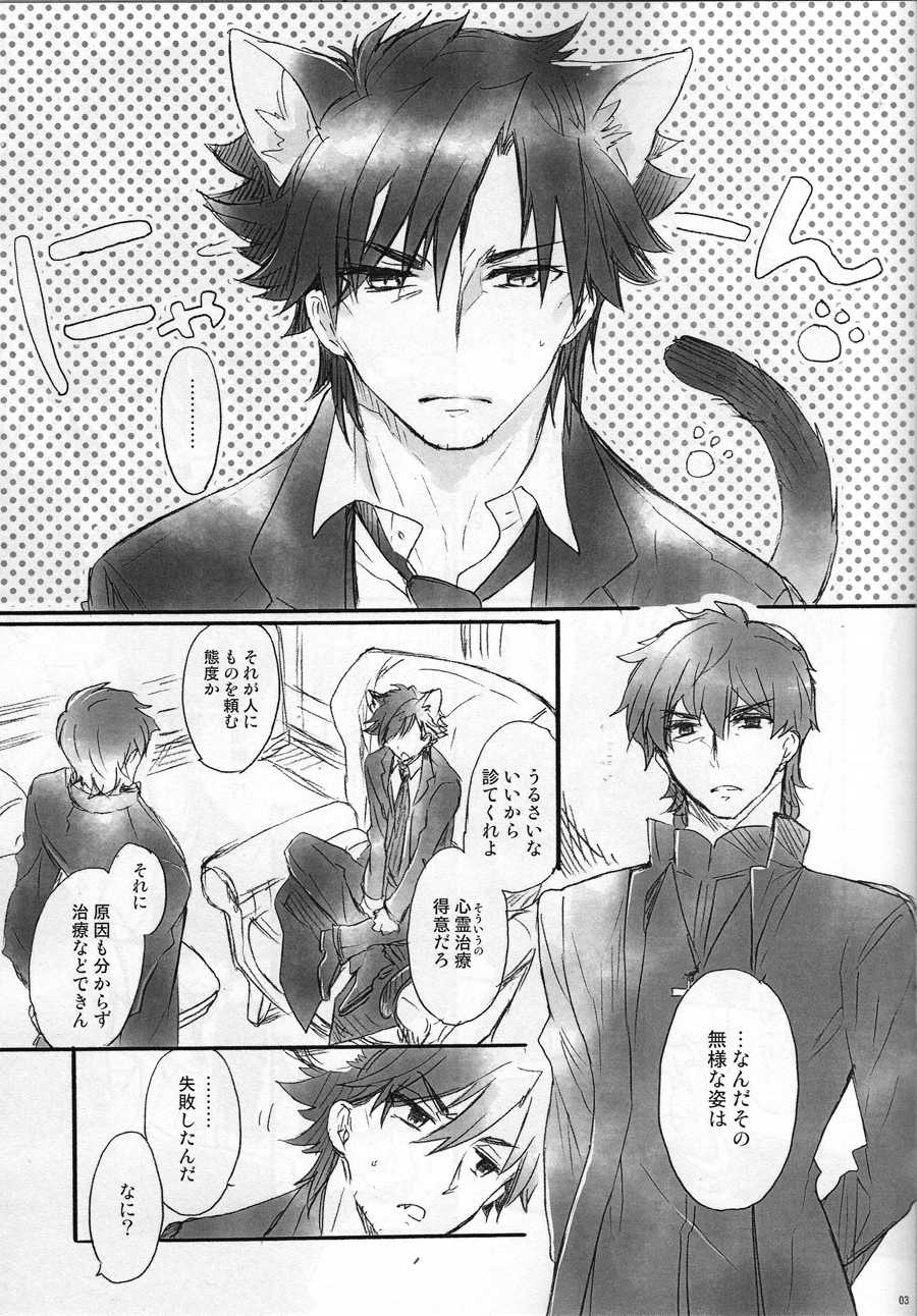 (Ou no Utsuwa 6) [Rapan (Himuro Shizuku)] This is Swanky Street Side E (Fate/Zero) - Page 2