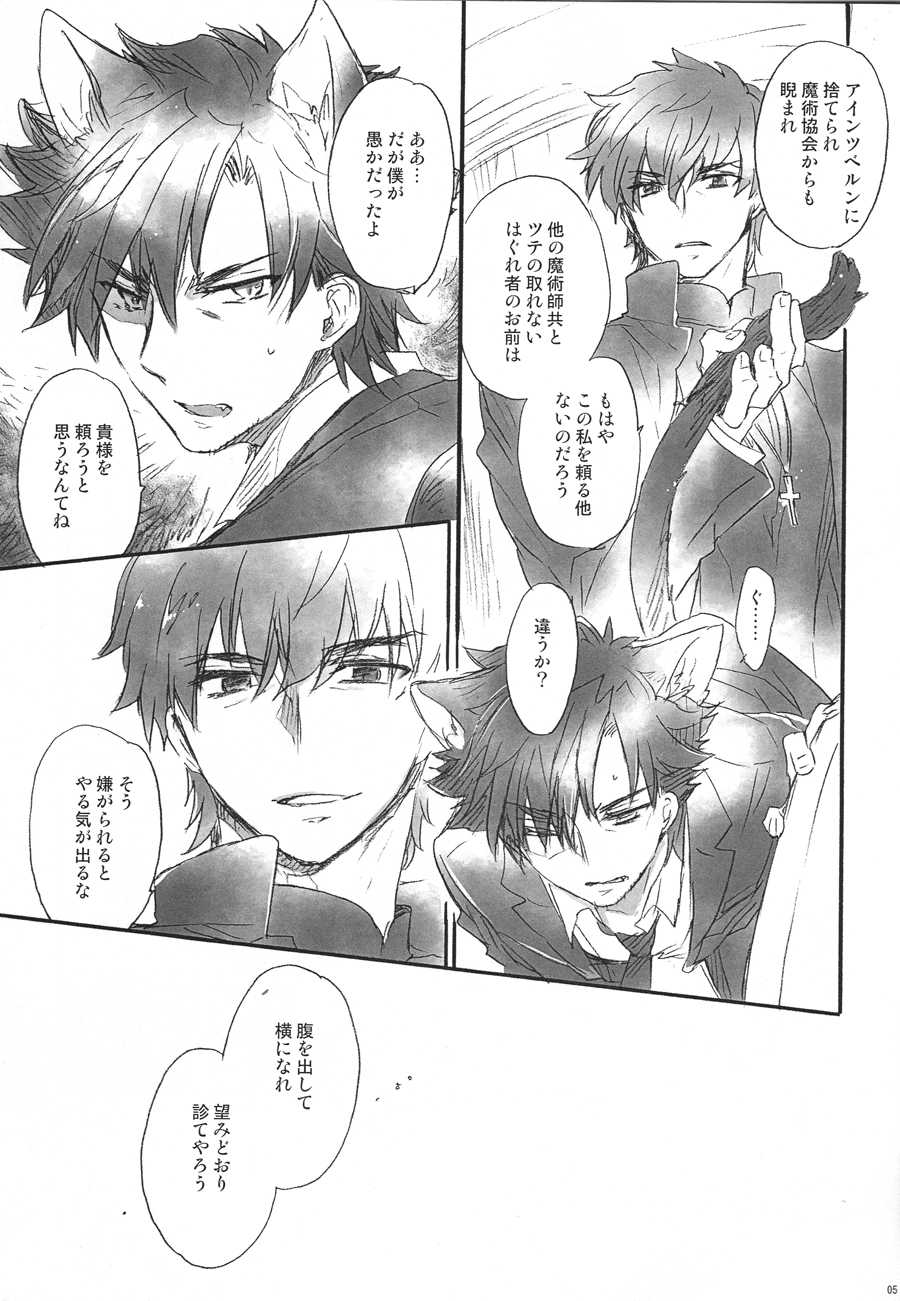 (Ou no Utsuwa 6) [Rapan (Himuro Shizuku)] This is Swanky Street Side E (Fate/Zero) - Page 4