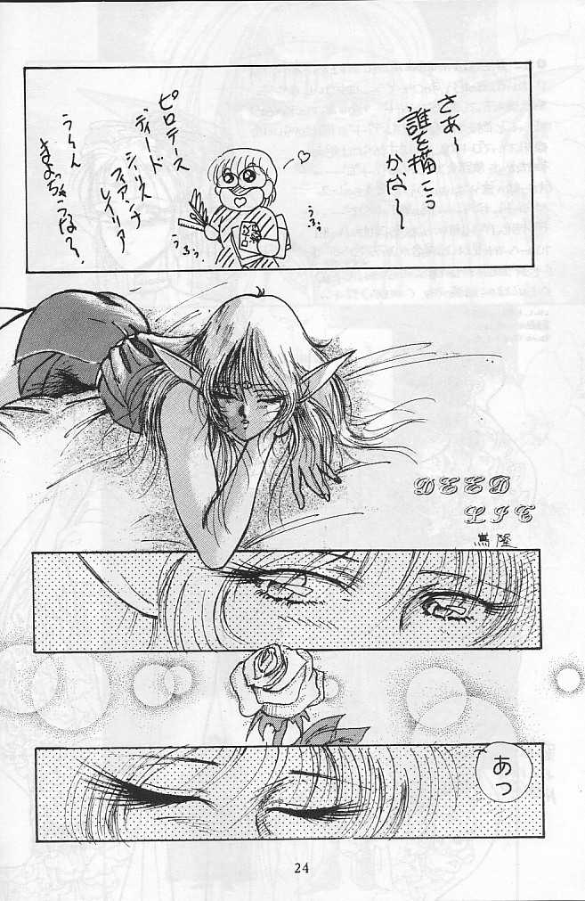 [Studio Boxer (Nago K, Shima Takashi, Taka)] HOHETO 4 (Record of Lodoss War) [incomplete] - Page 2