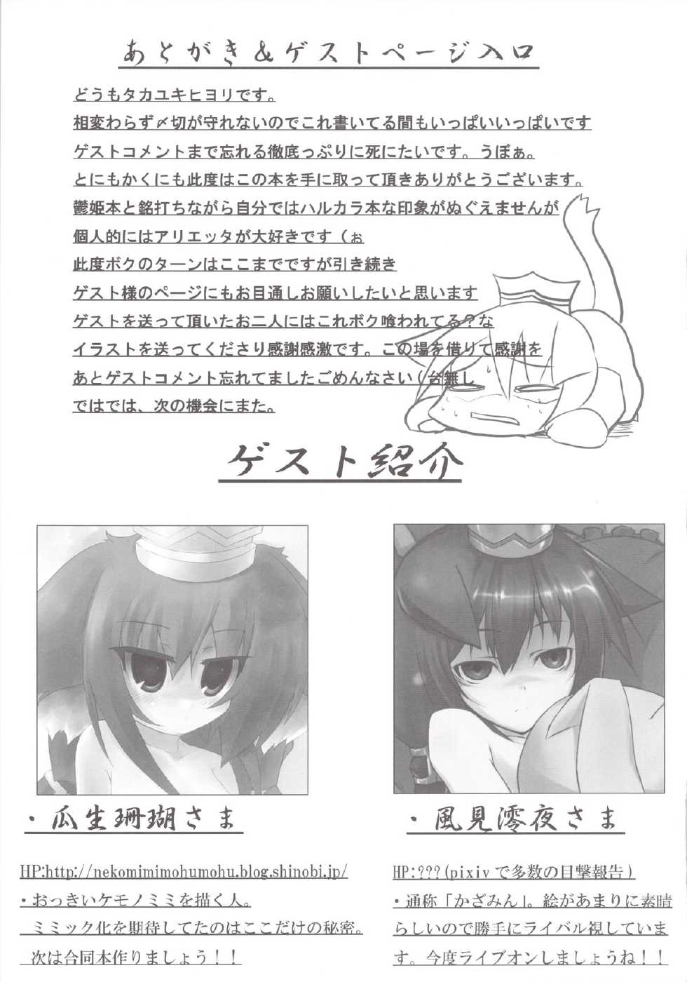 (Puniket 19) [Evo.R.B (Takayuki Hiyori)] flowers (7th Dragon) - Page 19