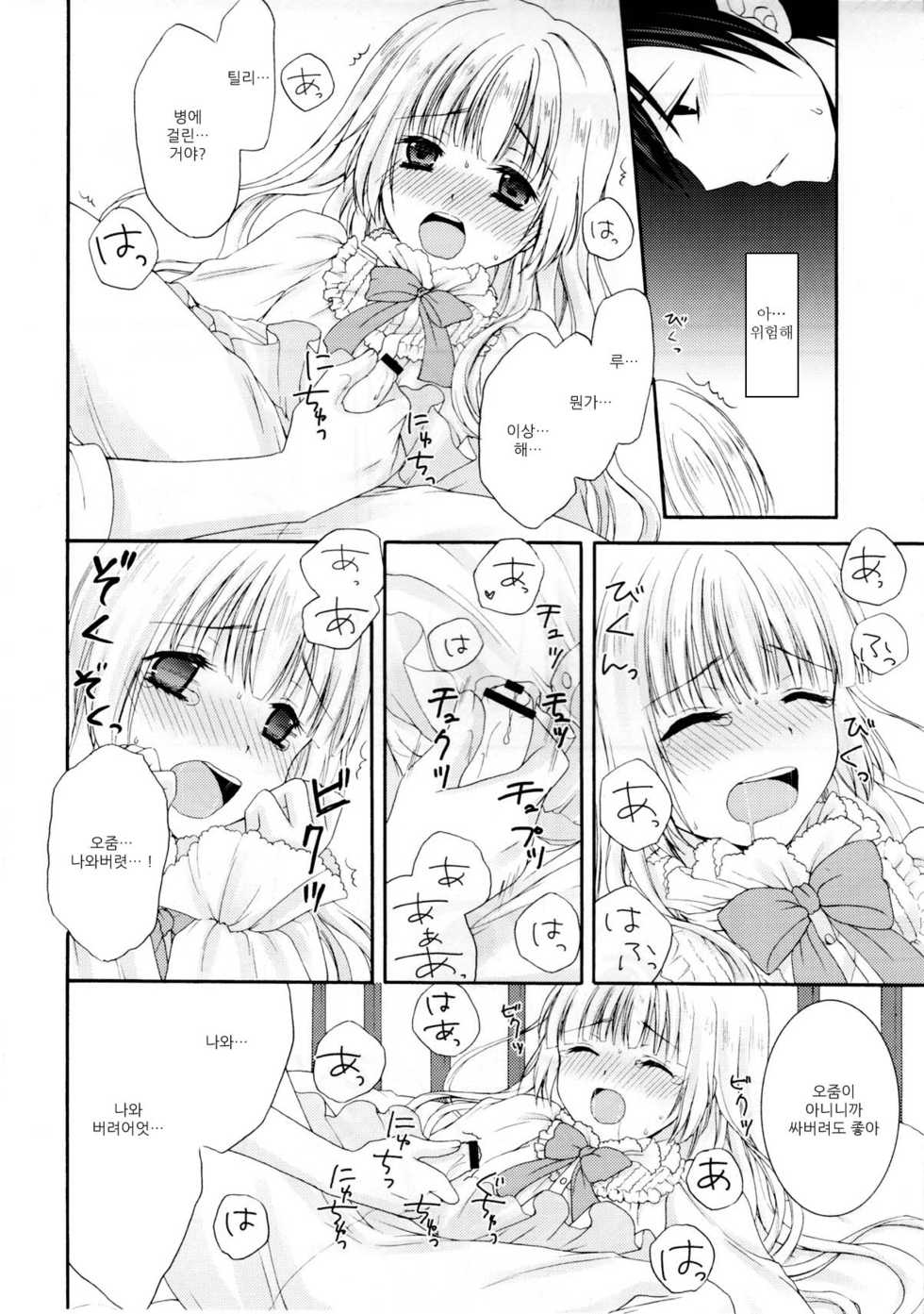 (C82) [Honey Bunny (Kohachi)] Tilly of mapleslope [Korean] [Mary] - Page 14