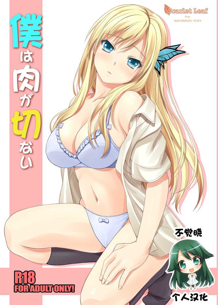 [Scarlet Leaf (Momizi-Kei)] Boku wa Niku ga Setsunai (Boku wa Tomodachi ga Sukunai) [Chinese] [不觉晓个人汉化] [Digital] - Page 1
