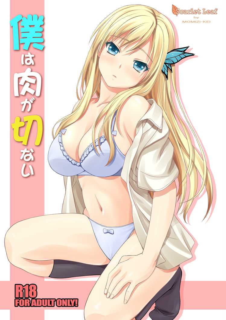 [Scarlet Leaf (Momizi-Kei)] Boku wa Niku ga Setsunai (Boku wa Tomodachi ga Sukunai) [Chinese] [脸肿汉化组] [Digital] - Page 2