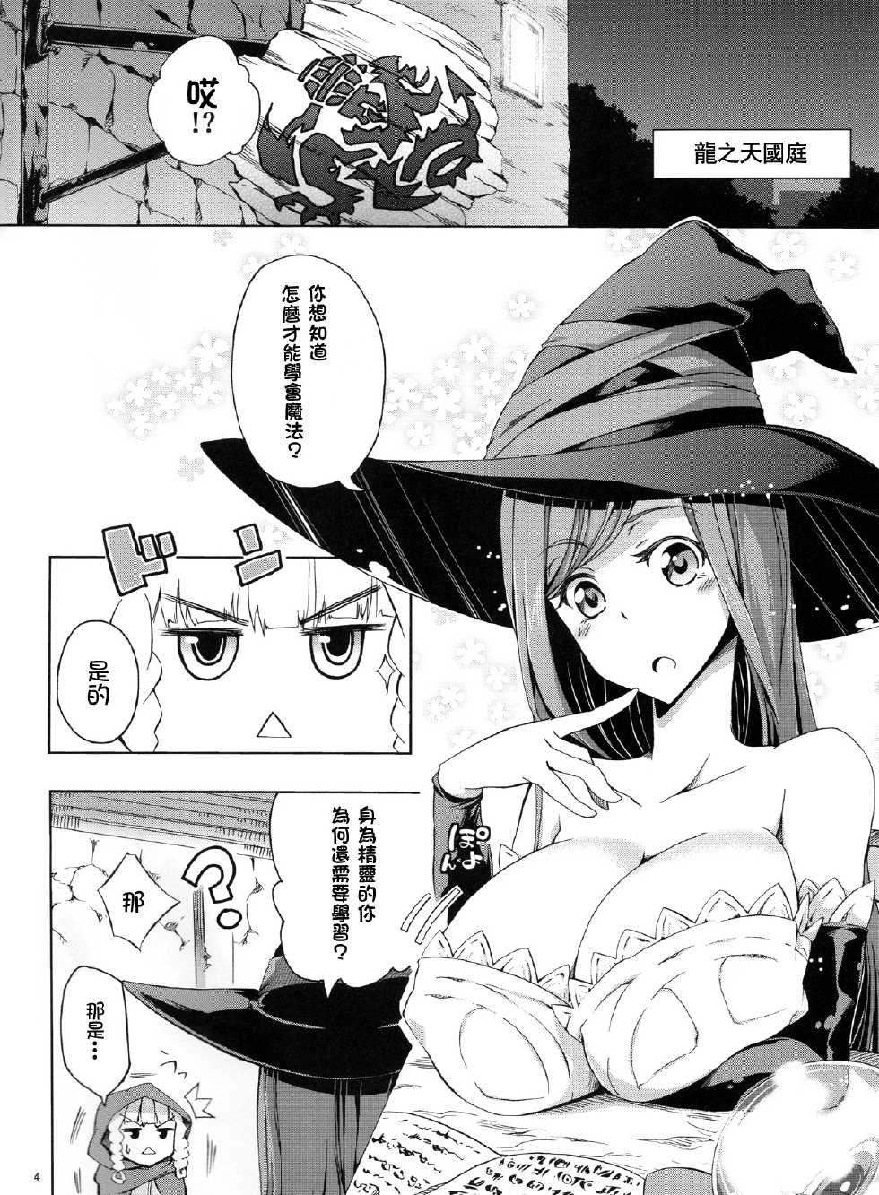 (SC61) [Z-FRONT (Kagato)] MAJI PAI (Dragon's Crown) [Chinese] [CE家族社] - Page 5