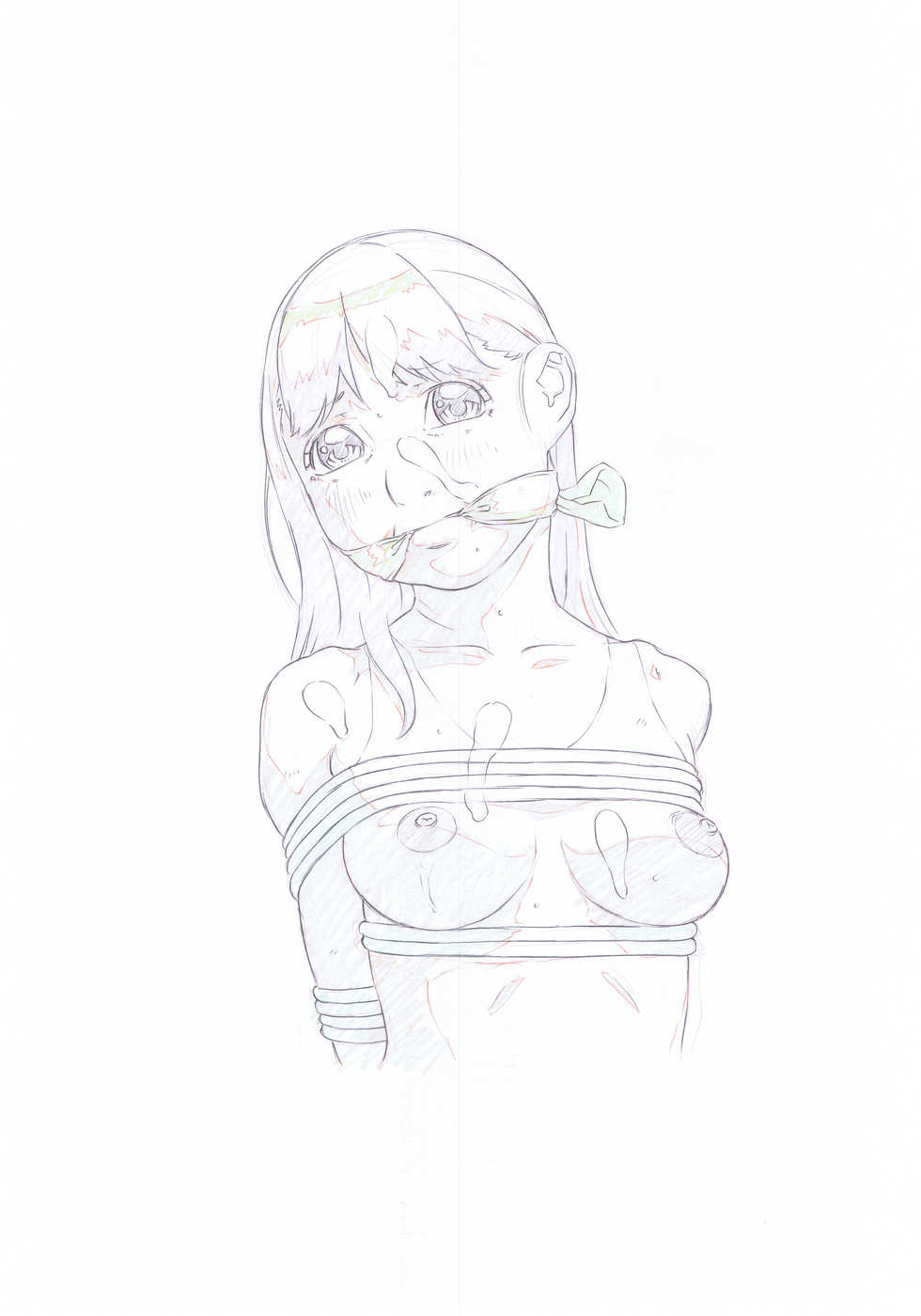 [Momonga Club (Hayashibara Hikari)] Rakugaki-s 19 ~ 21CD-Ban Enpitsu Rough Gashū (Rakugaki-s #20) - Page 18