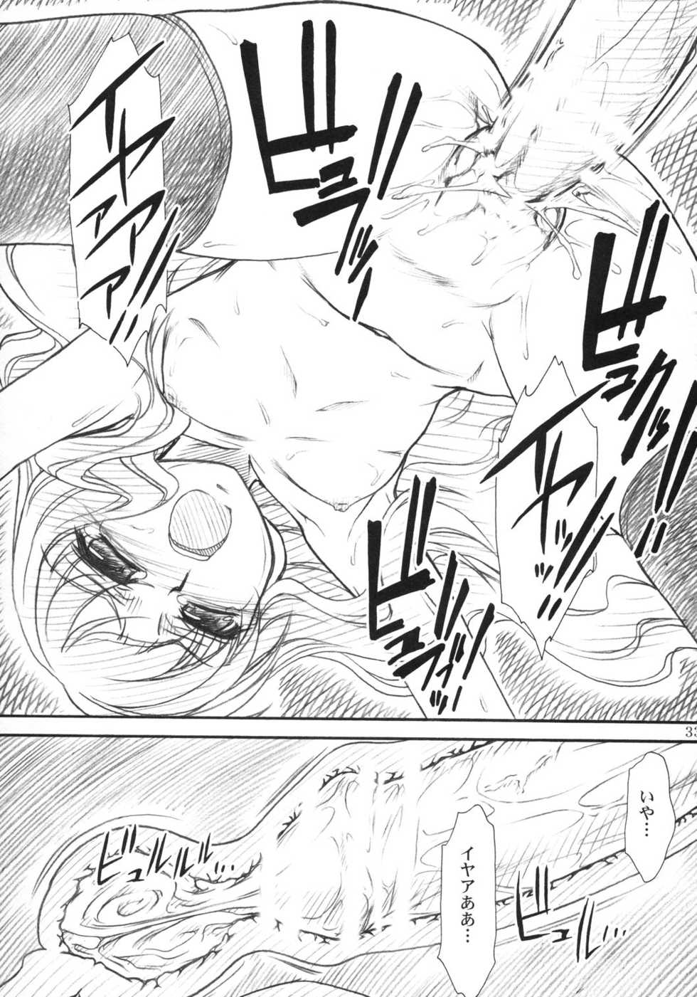 (C71) [MEKONGDELTA, DELTAFORCE (Route39, Zenki)] VOID (Zero no Tsukaima) - Page 32