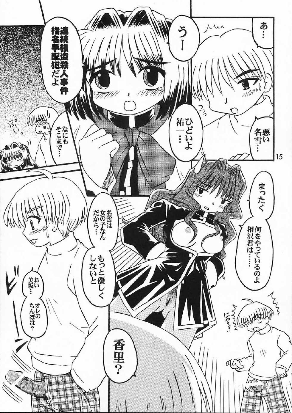 [SOUL COMPANY (Houou KIM)] Misaka Team (Kanon) - Page 14