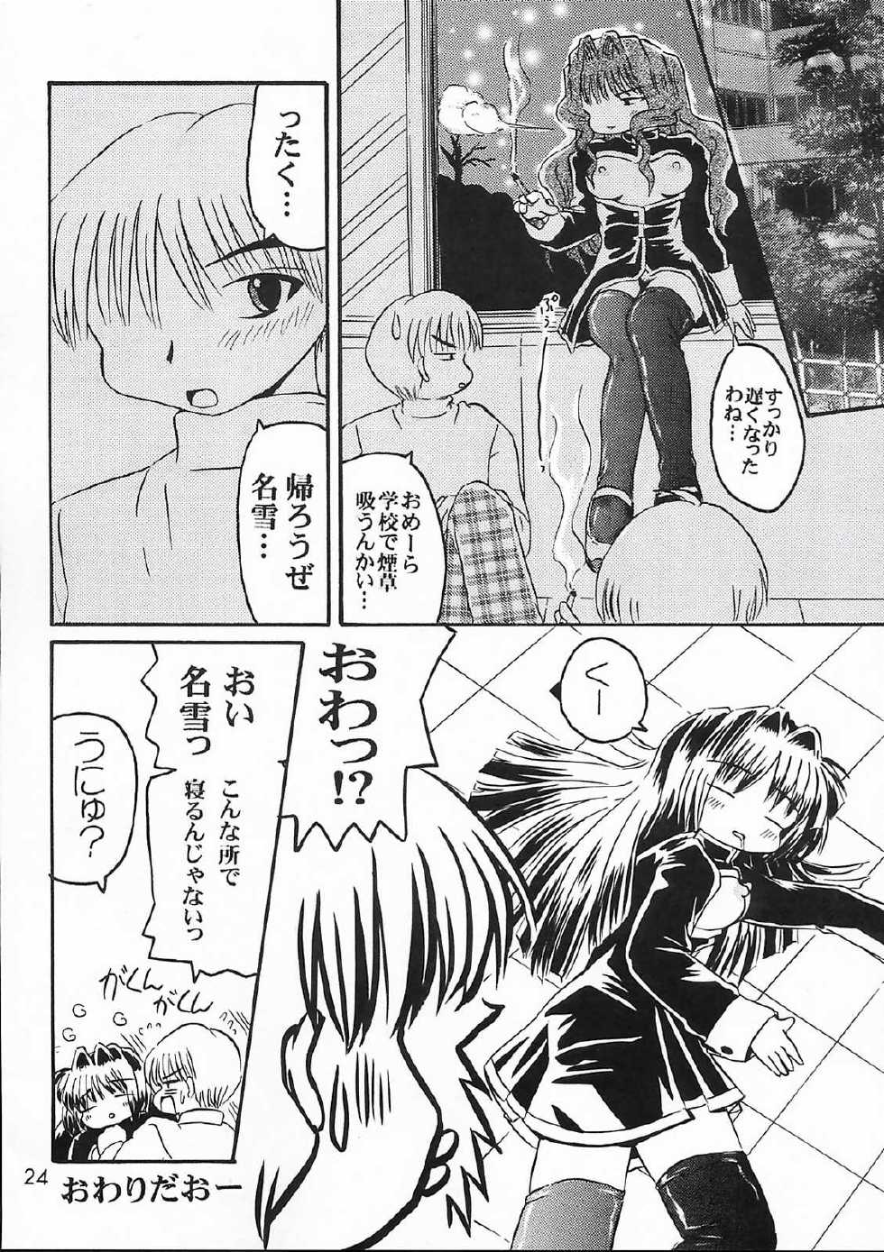 [SOUL COMPANY (Houou KIM)] Misaka Team (Kanon) - Page 23