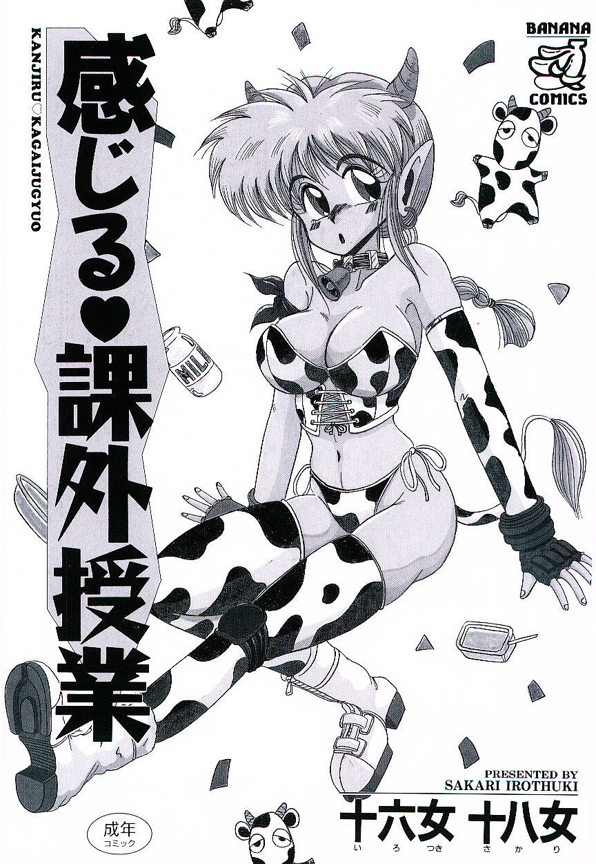 [Irotsuki Sakari] Kanjiru Kagai Jugyou - Page 3