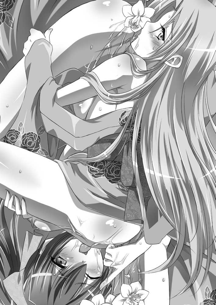 [Takeuti Ken, Arainobu] Harem Mercenary [Digital] - Page 17