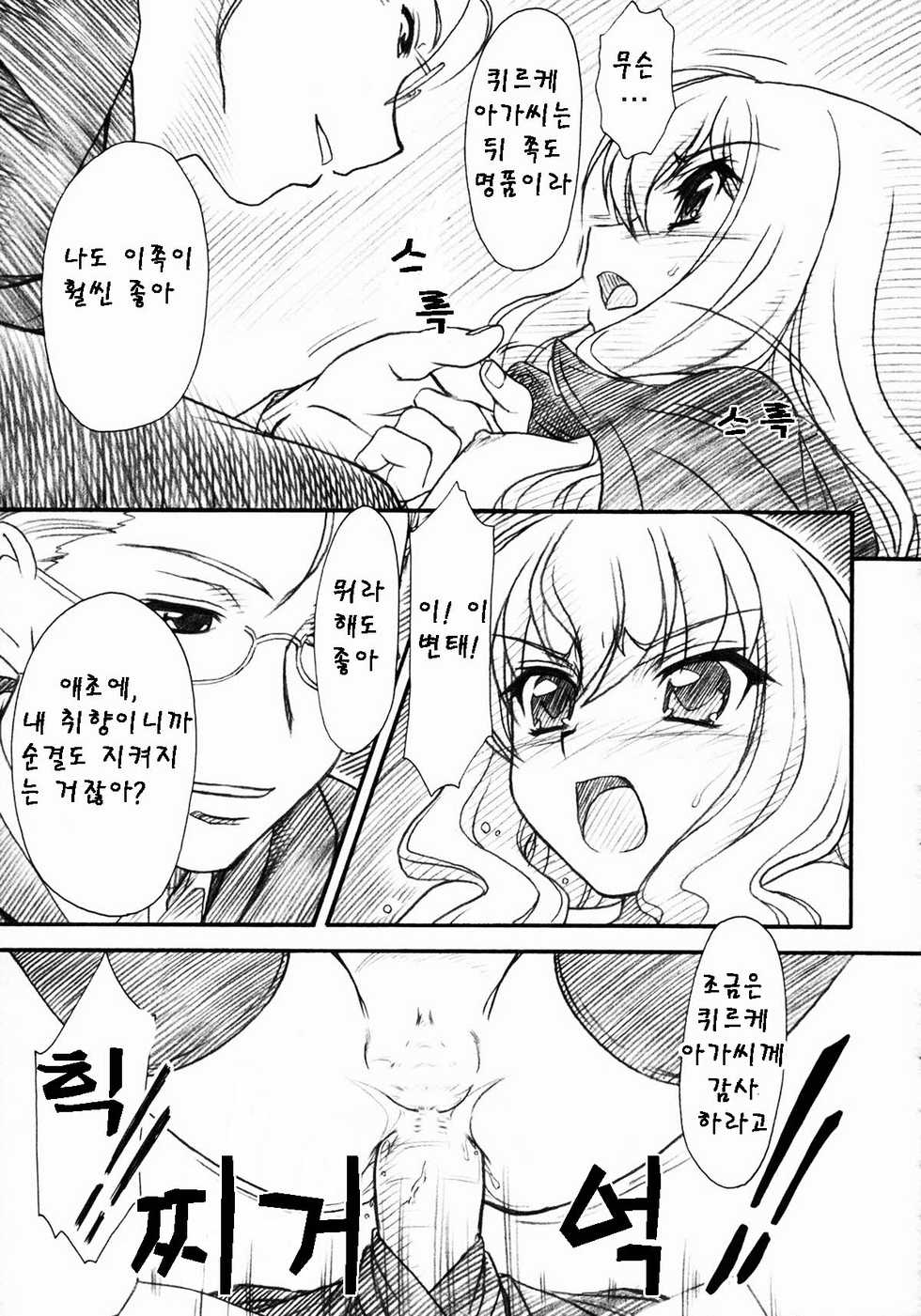 (C71) [MEKONGDELTA, DELTAFORCE (Route39, Zenki)] VOID (Zero no Tsukaima) [Korean] [Team Pureabyss] - Page 19