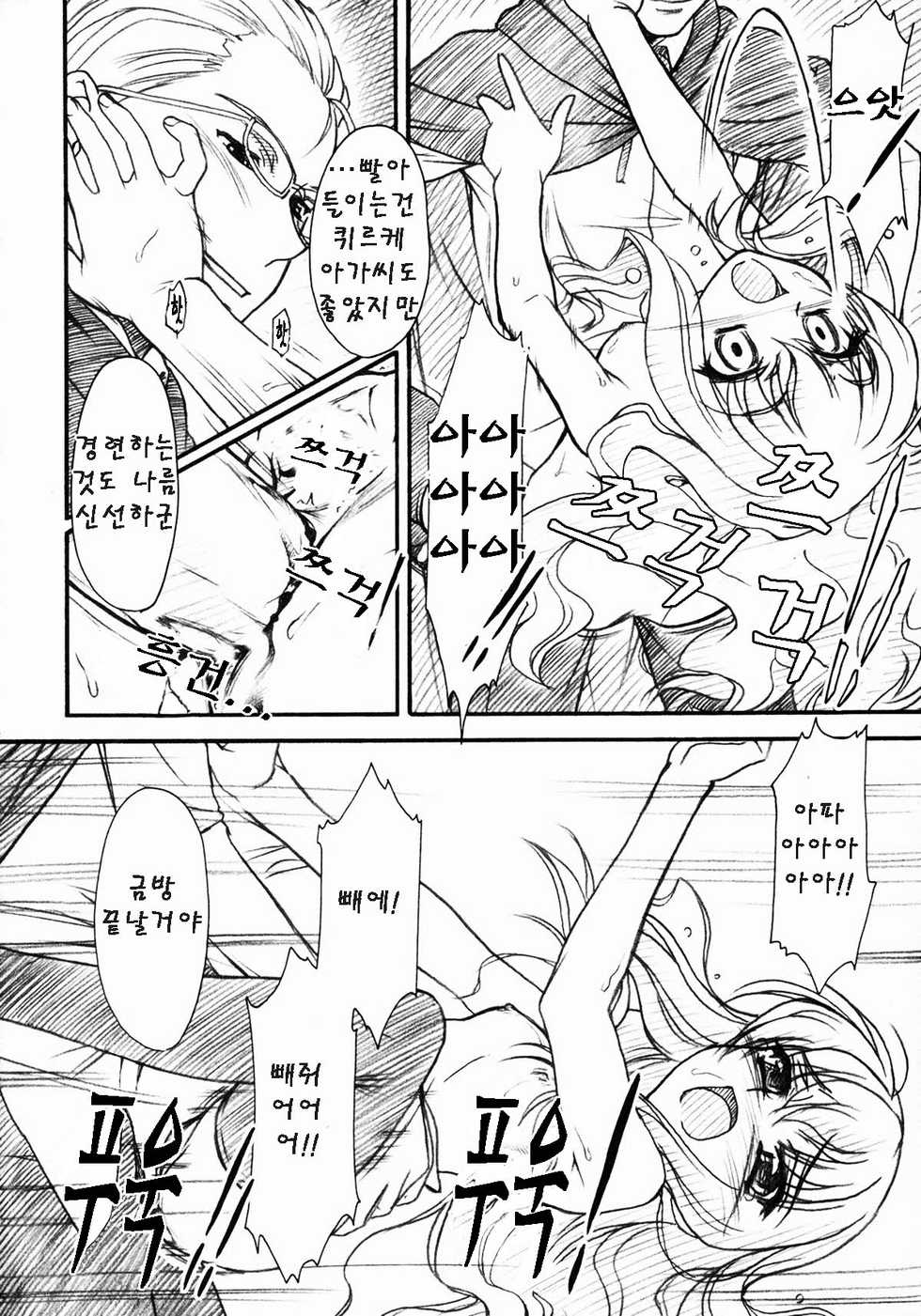 (C71) [MEKONGDELTA, DELTAFORCE (Route39, Zenki)] VOID (Zero no Tsukaima) [Korean] [Team Pureabyss] - Page 20