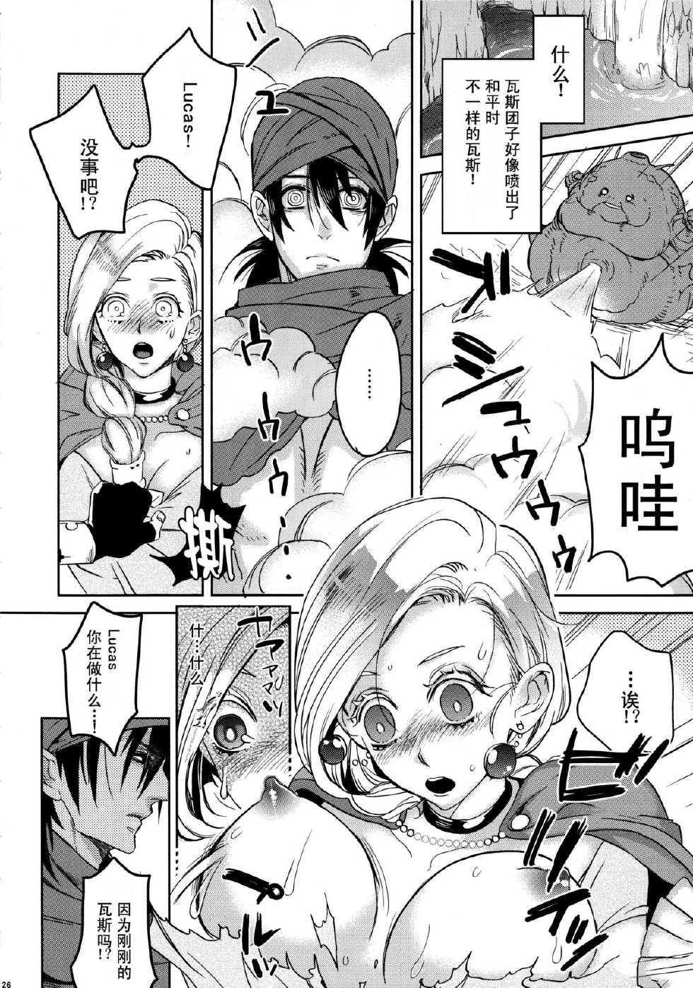 (C84) [Tamashu (Ohkami Ryosuke)] LOVEHERO.22 (Dragon Quest V) [Chinese] [CE家族社] - Page 26