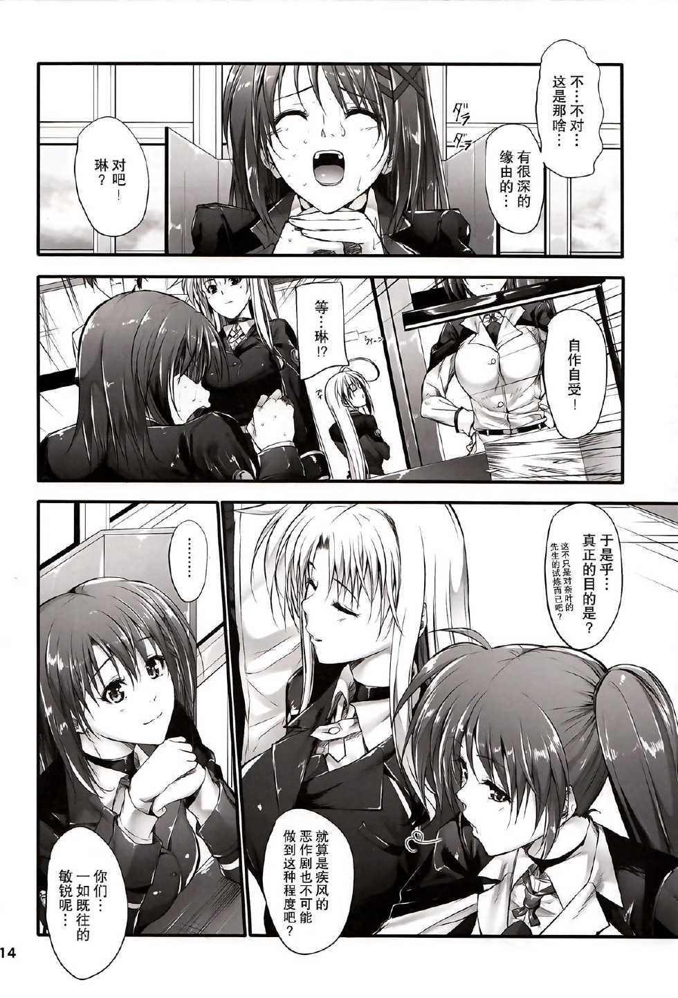 (C84) [IV VA SHIN (Mikuni Mizuki)] Home Sweet Home ～ Fate Hen 5 ～ (Mahou Shoujo Lyrical Nanoha) [Chinese] [无毒汉化组] - Page 14