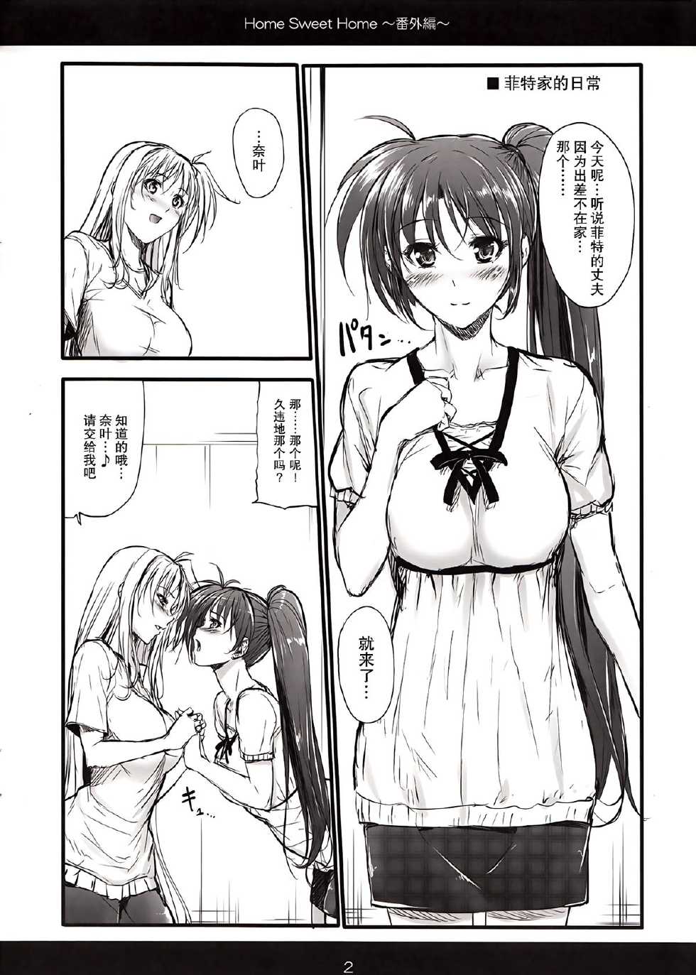 (C84) [IV VA SHIN (Mikuni Mizuki)] Home Sweet Home ～ Bangai hen ～ (Mahou Shoujo Lyrical Nanoha) [Chinese] [无毒汉化组] - Page 3