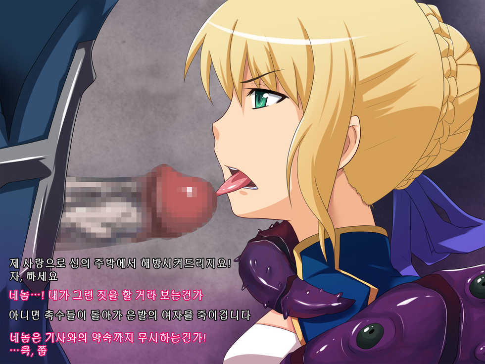 [Junkin] Haiboku no Seishojo (Fate Zero) (korean) - Page 12