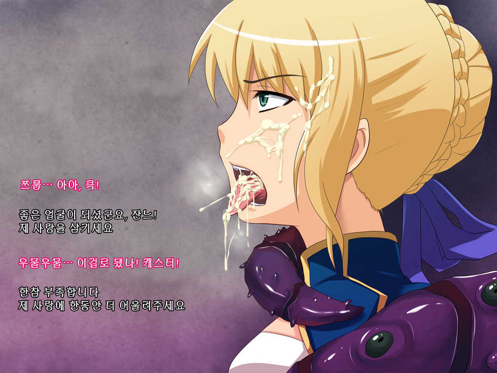 [Junkin] Haiboku no Seishojo (Fate Zero) (korean) - Page 17