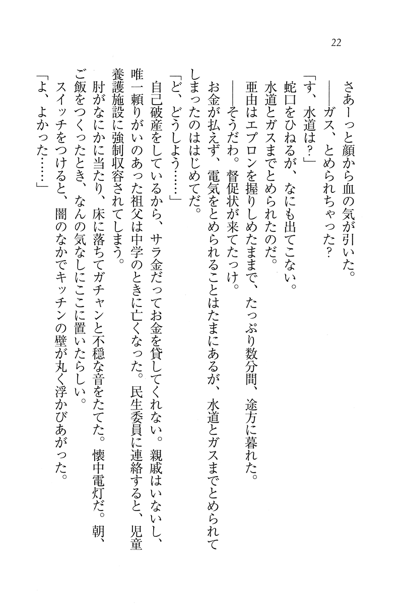 [Wakatsuki Hikaru, Miyama Zero] My Maid - Page 23