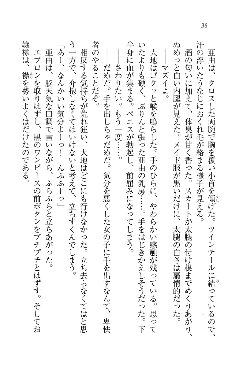 [Wakatsuki Hikaru, Miyama Zero] My Maid - Page 39