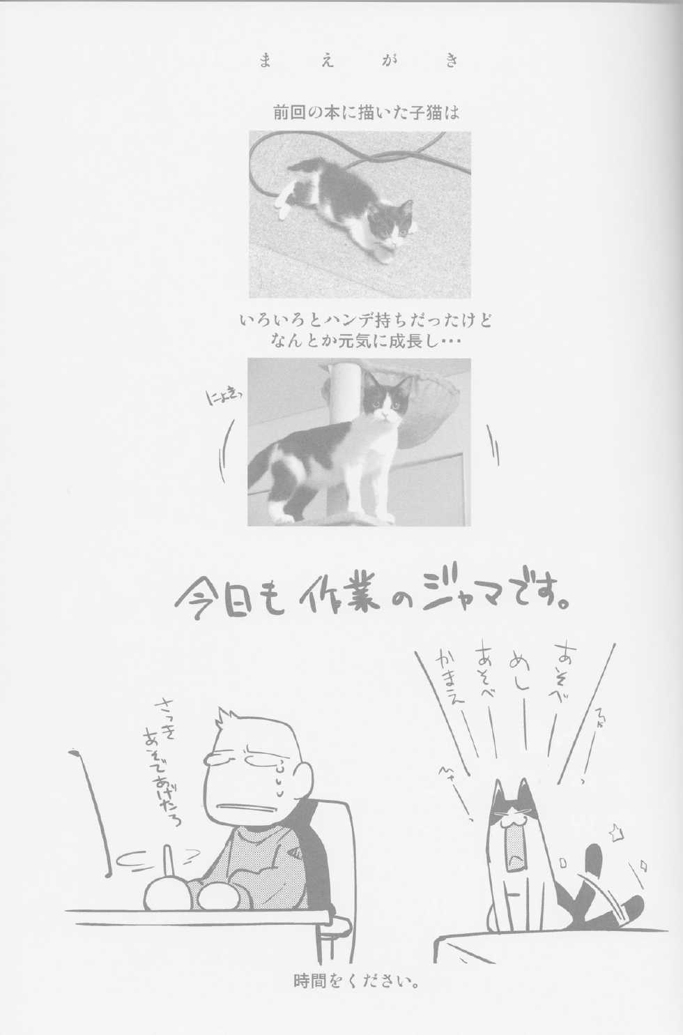 (C85) [Tengai Aku Juumonji (Various)] Ore no Fuyu 2013 (Sonic The Hedgehog) - Page 2