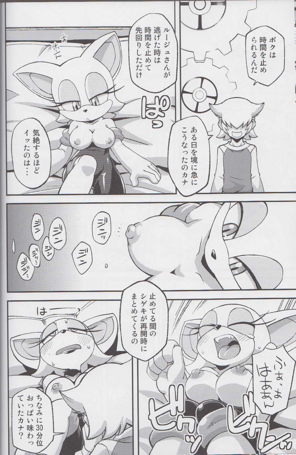 (C85) [Tengai Aku Juumonji (Various)] Ore no Fuyu 2013 (Sonic The Hedgehog) - Page 11