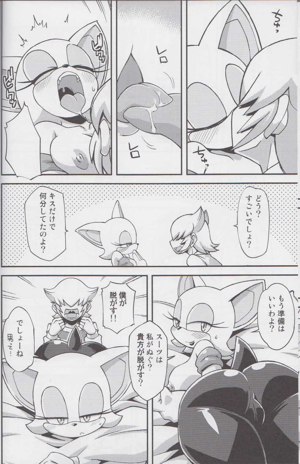 (C85) [Tengai Aku Juumonji (Various)] Ore no Fuyu 2013 (Sonic The Hedgehog) - Page 13