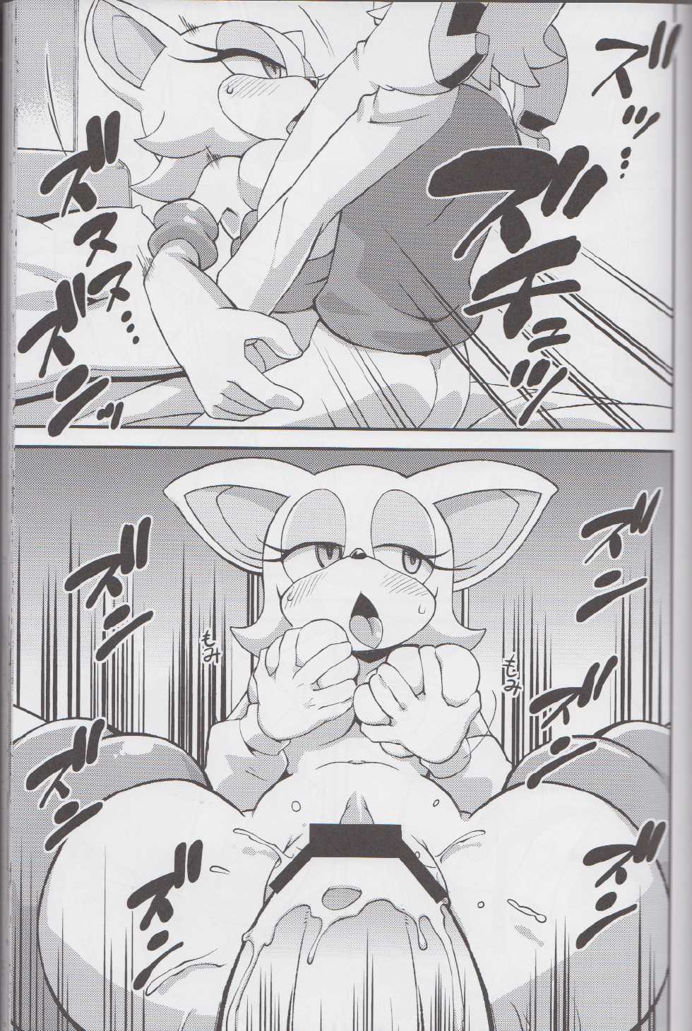 (C85) [Tengai Aku Juumonji (Various)] Ore no Fuyu 2013 (Sonic The Hedgehog) - Page 18