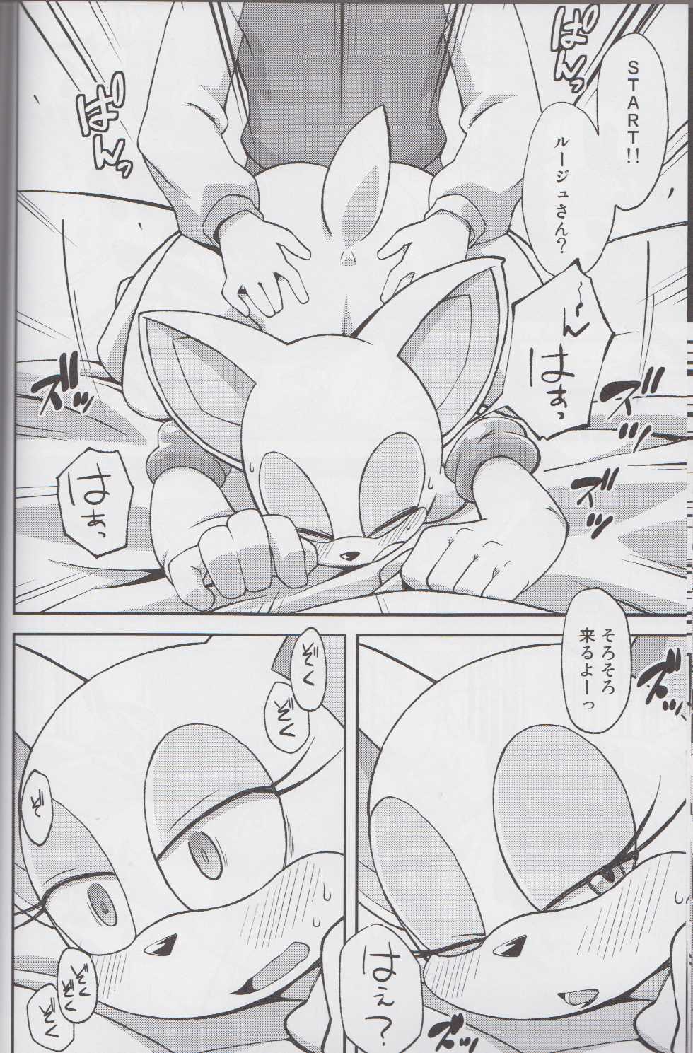 (C85) [Tengai Aku Juumonji (Various)] Ore no Fuyu 2013 (Sonic The Hedgehog) - Page 19